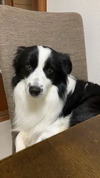 リラクゼーションAi所属・Ai Aiのエステ・リラクイメージ