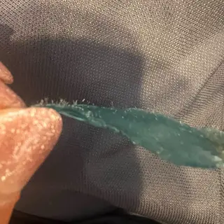 🅖🅤🅩🅔🅛 salonのエステ・リラクイメージ