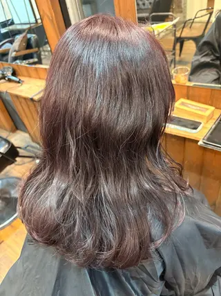 セミロング Premier Models 中野店所属・🪽【透明感カラー】 🌺HANA🌺🪽のヘアスタイル