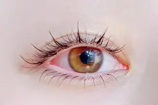 マツエク・マツパ Brave nyc. 都田のマツエク・マツパデザイン