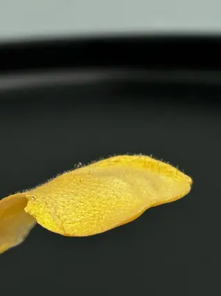 waxyyy. madokaの眉毛・アイブロウイメージ