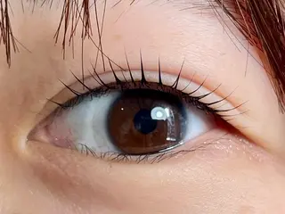 マツエク・マツパ Sol フジイのマツエク・マツパデザイン