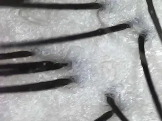 salowin 郡山店所属・中畑 莉菜のヘアスタイル