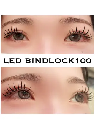 マツエク・マツパ シュガーレイ所属・バインドロック🦋 アンドヘルシーのマツエク・マツパデザイン