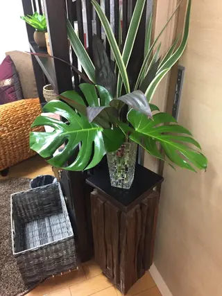 ARONA(アローナ)所属・ARONA ♡のエステ・リラクイメージ