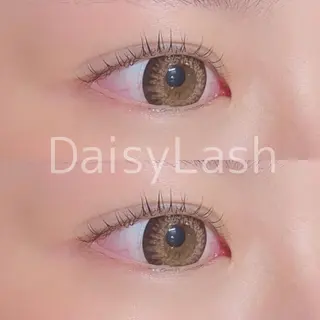 マツエク・マツパ DaisyLash 京橋店のマツエク・マツパデザイン
