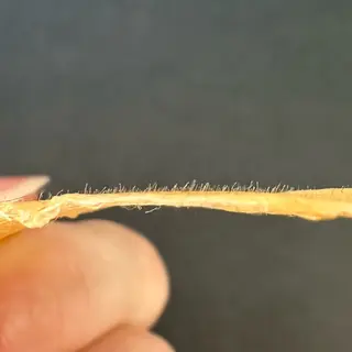 An'me ☺︎のマツエク・マツパデザイン