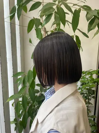 ショート カラー 🫧艶髪デザイナー 🫧白石航汰のヘアスタイル