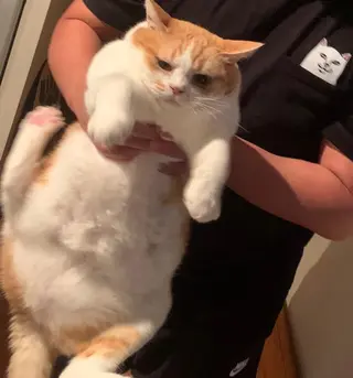 表参道鍼灸院K 美容鍼🔮ララピールのエステ・リラクイメージ