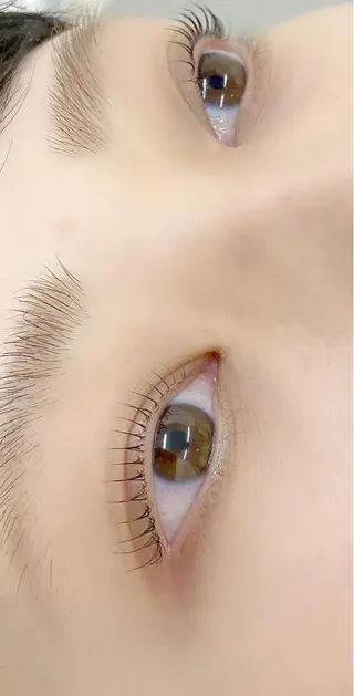 マツエク・マツパ 🌼Alba🌼 犬馬塲のマツエク・マツパデザイン