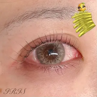 マツエク・マツパ IRIS🫧 Ayaのマツエク・マツパデザイン