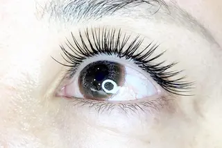 マツエク・マツパ プラスアイ 柏東駅前通り店のマツエク・マツパデザイン