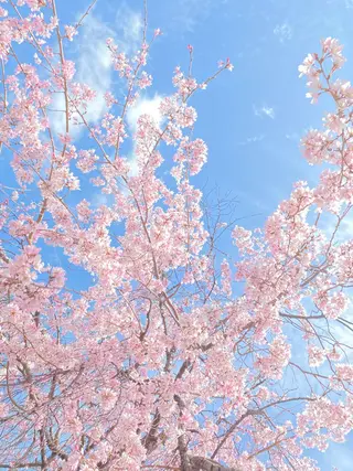 POLA四条堀川 TOAのその他イメージ