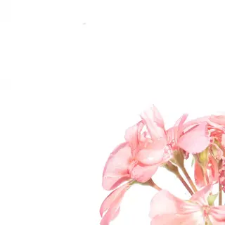 TIÁM eyelashのマツエク・マツパデザイン