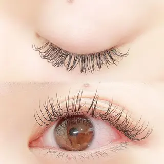 マツエク・マツパ Lanhr所属・【Lanhr】 🕊aya🕊のマツエク・マツパデザイン