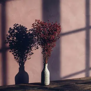 マツエク・マツパ miien(SALONVILLAGE内)所属・MOE /渋谷・明治神宮前のマツエク・マツパデザイン