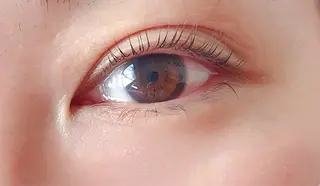 マツエク・マツパ Melia Chieのマツエク・マツパデザイン