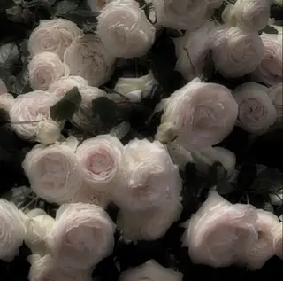 ネイル *Bianca国分寺 IGUCHI✮*｡ﾟのネイルデザイン