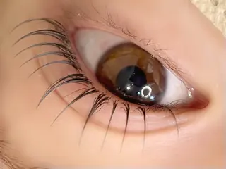 マツエク・マツパ mocca🕊🫧 ayamiのマツエク・マツパデザイン