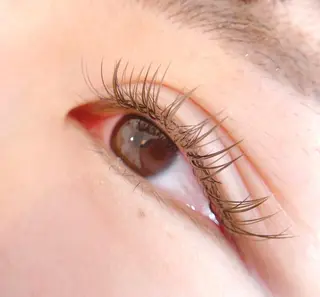 マツエク・マツパ Lupinus 国分寺店のマツエク・マツパデザイン