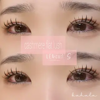 マツエク・マツパ Fujimoto 🦭⸝⋆꙳のマツエク・マツパデザイン