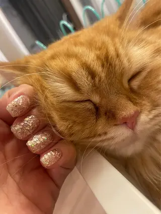 ネイル K Aのネイルデザイン