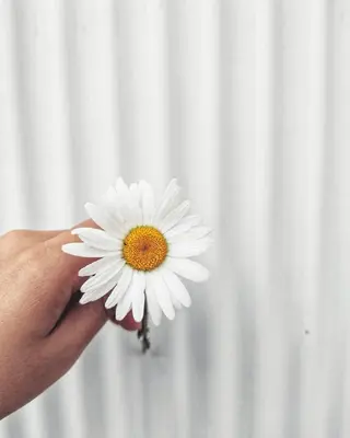 ネイル 車田 麻悠香のネイルデザイン