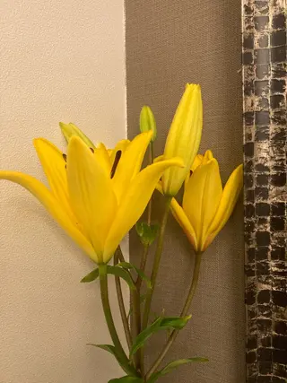 フェイシャルサロン ビアンカガーデンのエステ・リラクイメージ