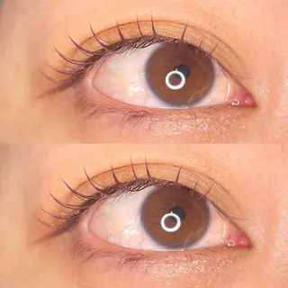 マツエク・マツパ Camarón まつ毛&眉毛サロンのマツエク・マツパデザイン