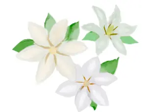 岩崎 .のエステ・リラクイメージ