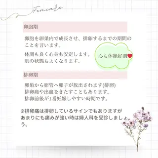 めぐらせの 森のその他イメージ