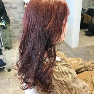 セミロング 所渉/韓国レイヤー /ウルフカットのヘアスタイル