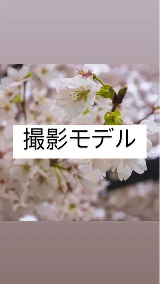 マツエク・マツパ 【LEGA 志木】 Kodamaのマツエク・マツパデザイン