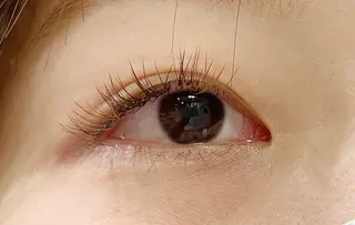 マツエク・マツパ hikari 🌻*.ﾟのマツエク・マツパデザイン