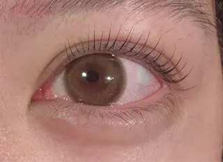 マツエク・マツパ 水 田のマツエク・マツパデザイン