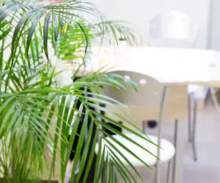 パーソナルカラー診断 骨格診断顔タイプ診断のその他イメージ