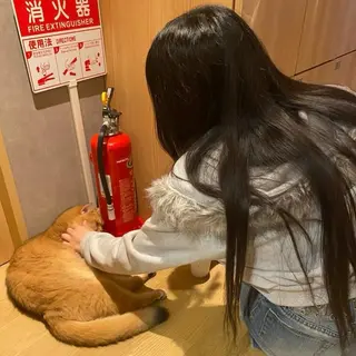 🩷Eny terrace🩷のヘアスタイル