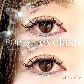 マツエク・マツパ POPPYシルフィーヌ関内店所属・モデル募集 POPPY関内店の眉毛・アイブロウイメージ