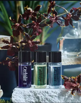 カラー レイヤー×艶髪🤎. 𝜗𝜚hitomiのヘアスタイル