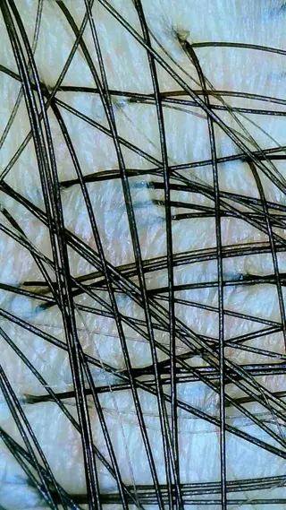 🅖🅤🅩🅔🅛 salonのエステ・リラクイメージ