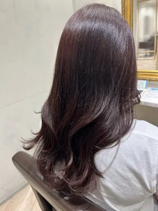 セミロング カラー 艶髪/韓国レイヤー イノウエヒロキのヘアスタイル