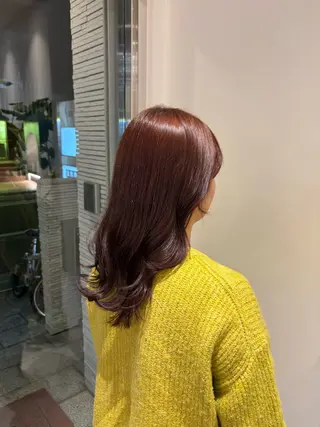 セミロング 神田 音羽のヘアスタイル