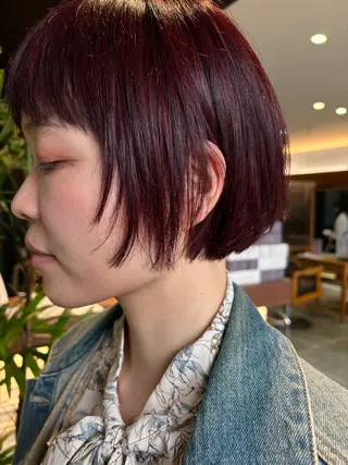 ショート ✨白髪ぼかし 🍀MINAKO☆のヘアスタイル