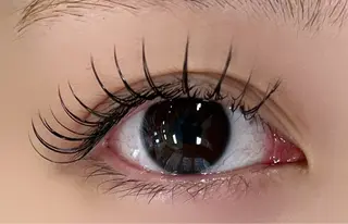 マツエク・マツパ R🌹 ⁺⊹˚.のマツエク・マツパデザイン