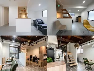 仁張 玲音のヘアスタイル