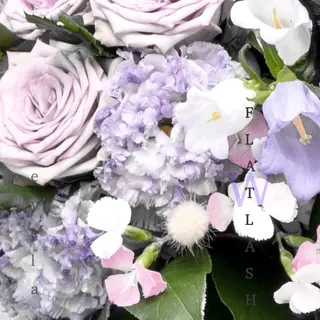 マツエク・マツパ EYELA高田馬場 matsushitaのマツエク・マツパデザイン