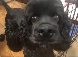 癒し空間 もふもふのエステ・リラクイメージ