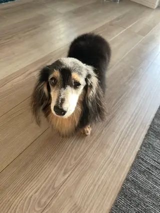 食べながら魅せボディ éclatJua川越のエステ・リラクイメージ