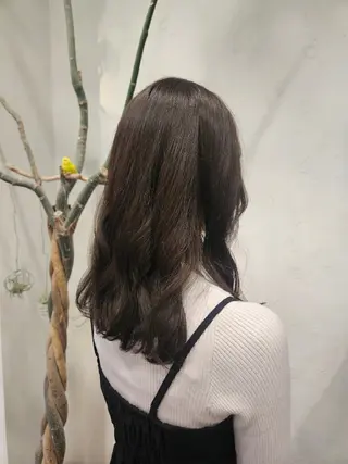 セミロング カラー 関口 友菜のヘアスタイル