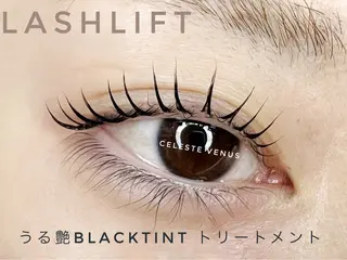 マツエク・マツパ Celeste Venus所属・🧸Celeste Venusのマツエク・マツパデザイン